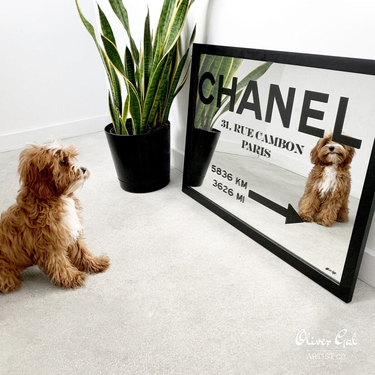 Wander are Lost Wall Art by Oliver Gal