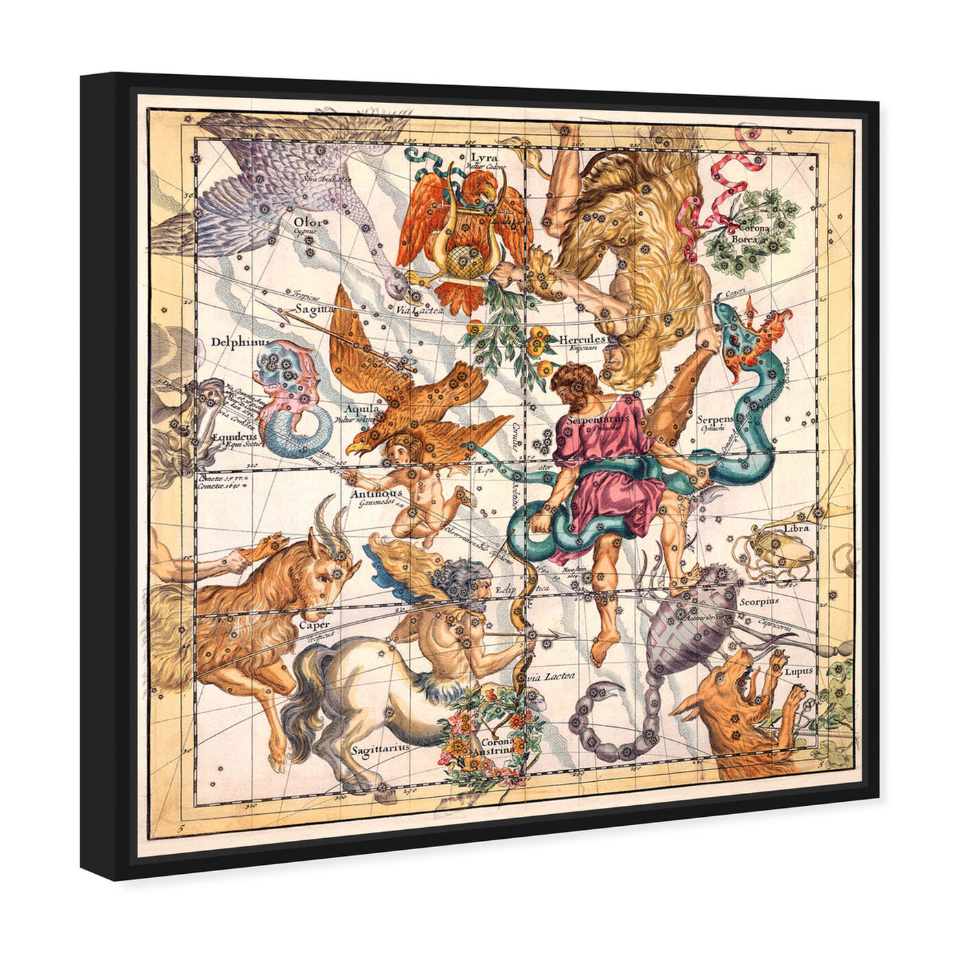 Angled view of Sagittarius and Scorpius featuring spiritual and religious and zodiac art.
