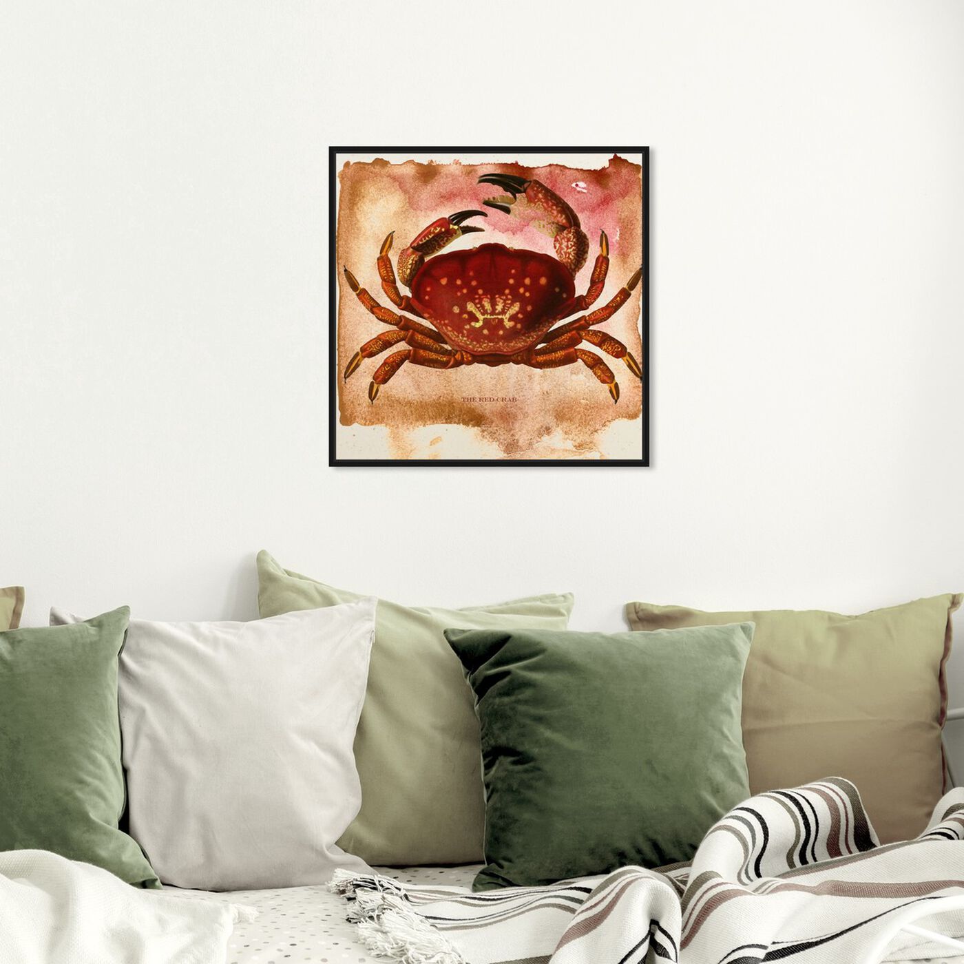 Hanging view of The Red Crab II featuring animals and sea animals art.