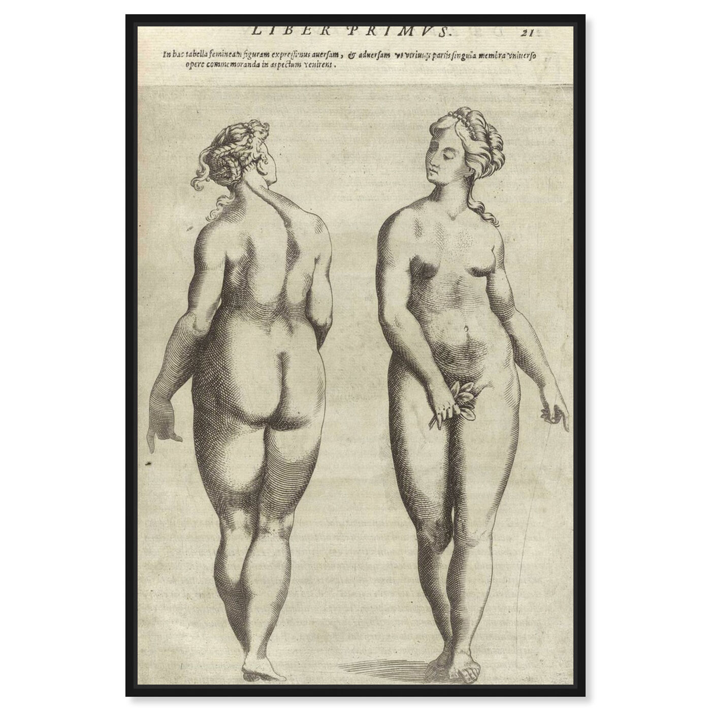 Front view of Liber Primvs - The Art Cabinet featuring classic and figurative and nudes art.
