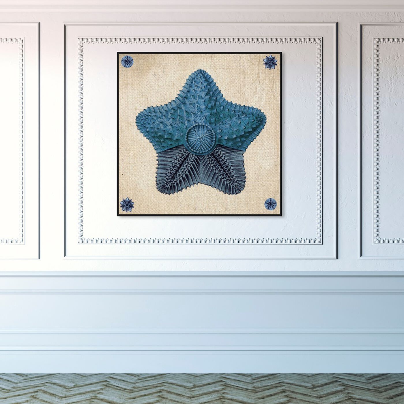 Hanging view of Asteridia II featuring nautical and coastal and marine life art.