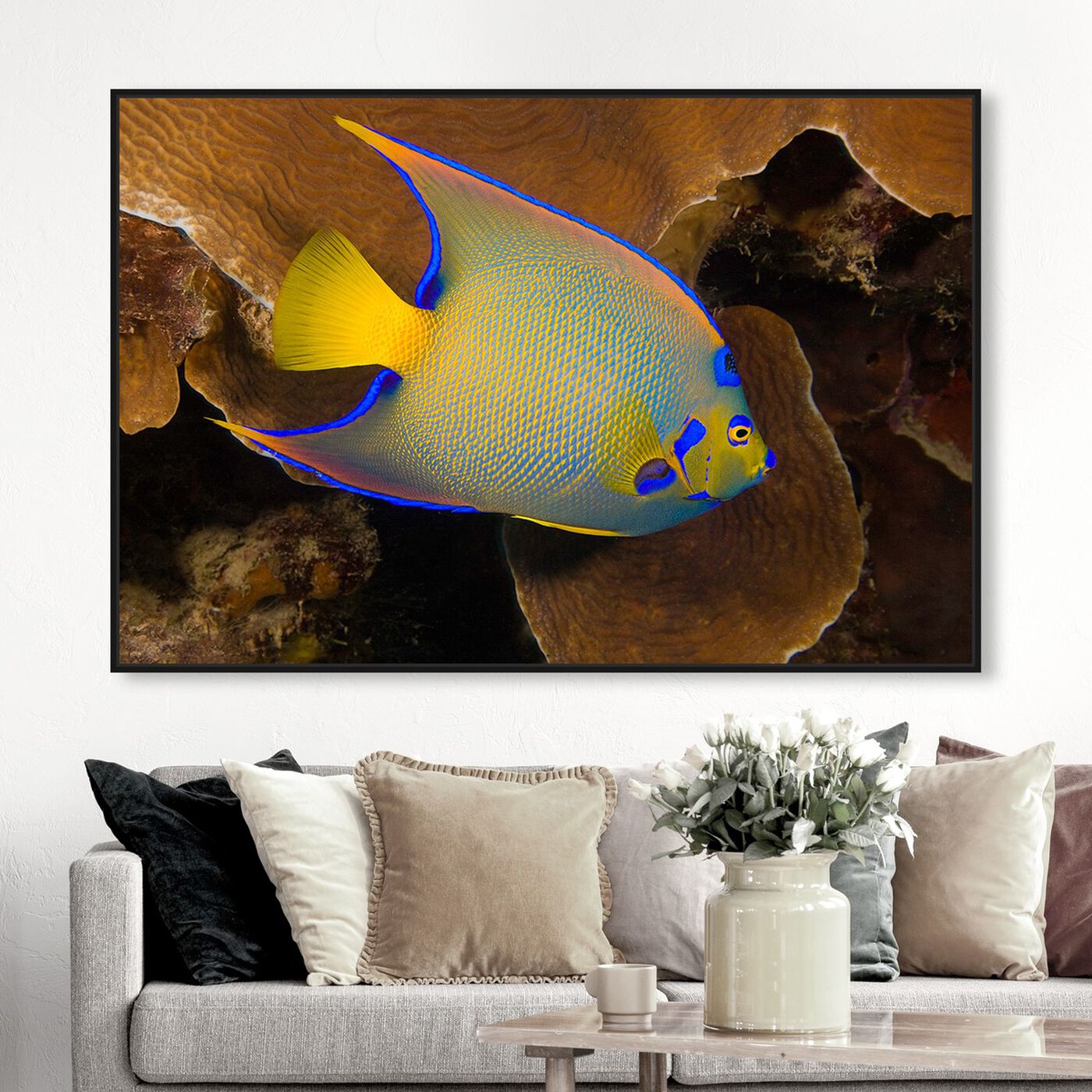 Hanging view of Queen Angelfish by David Fleetham featuring animals and sea animals art.