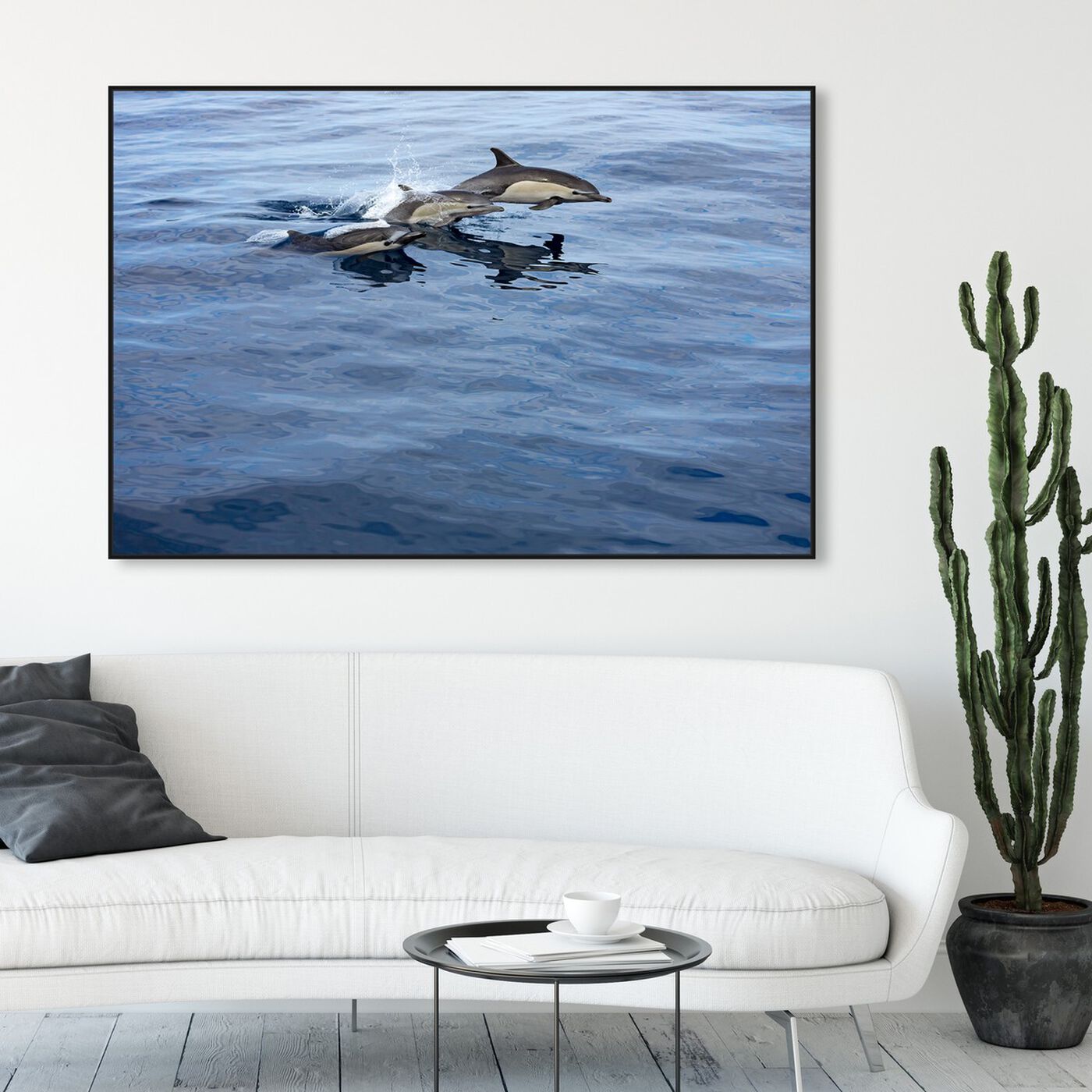 Hanging view of Common Dolphin Mexico by David Fleetham featuring nautical and coastal and marine life art.