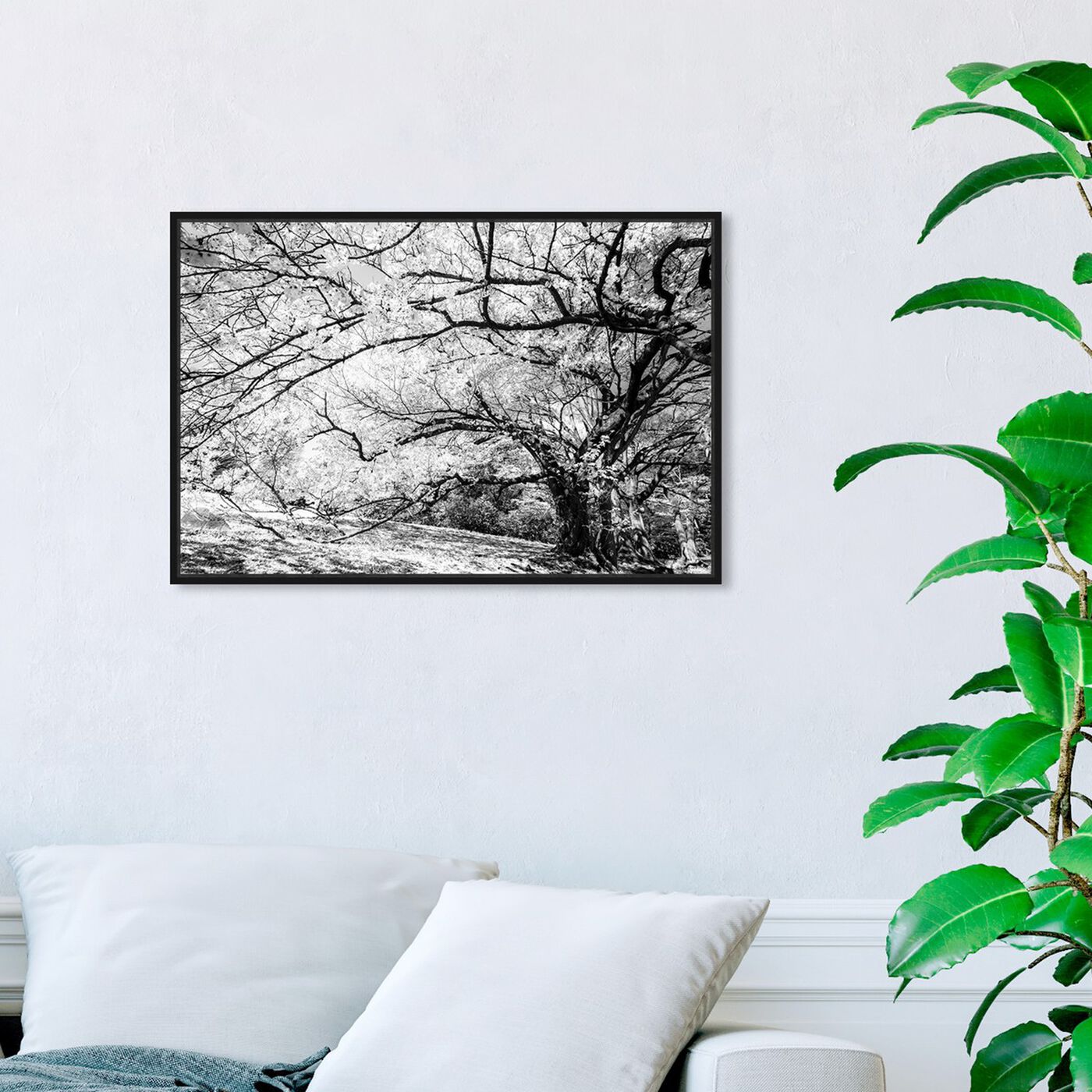 Hanging view of Curro Cardenal - Under the Tree Gray featuring floral and botanical and trees art.