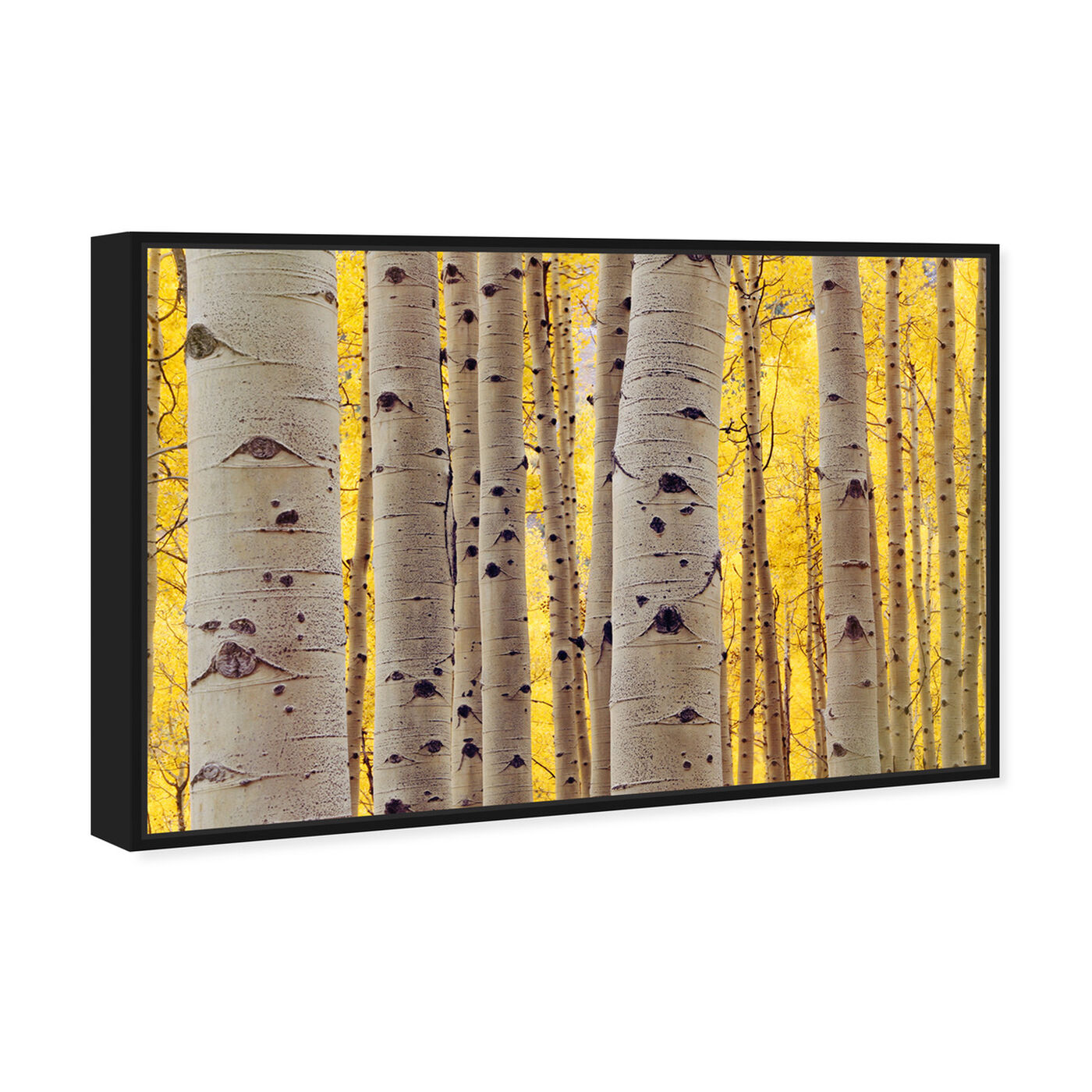 Angled view of Aspen Yellow featuring floral and botanical and trees art.