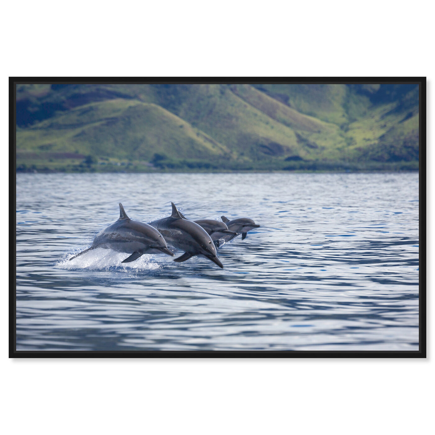 Front view of Four Spinner Dolphins by David Fleetham featuring nautical and coastal and marine life art.