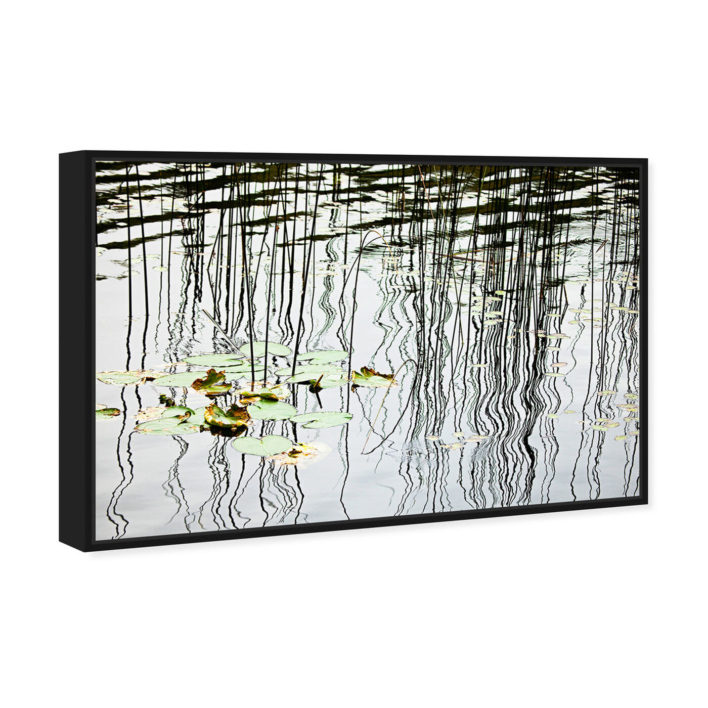 Angled view of Lily Pads and Reflections on a Lake by David Fleetham featuring nature and landscape and nature art.
