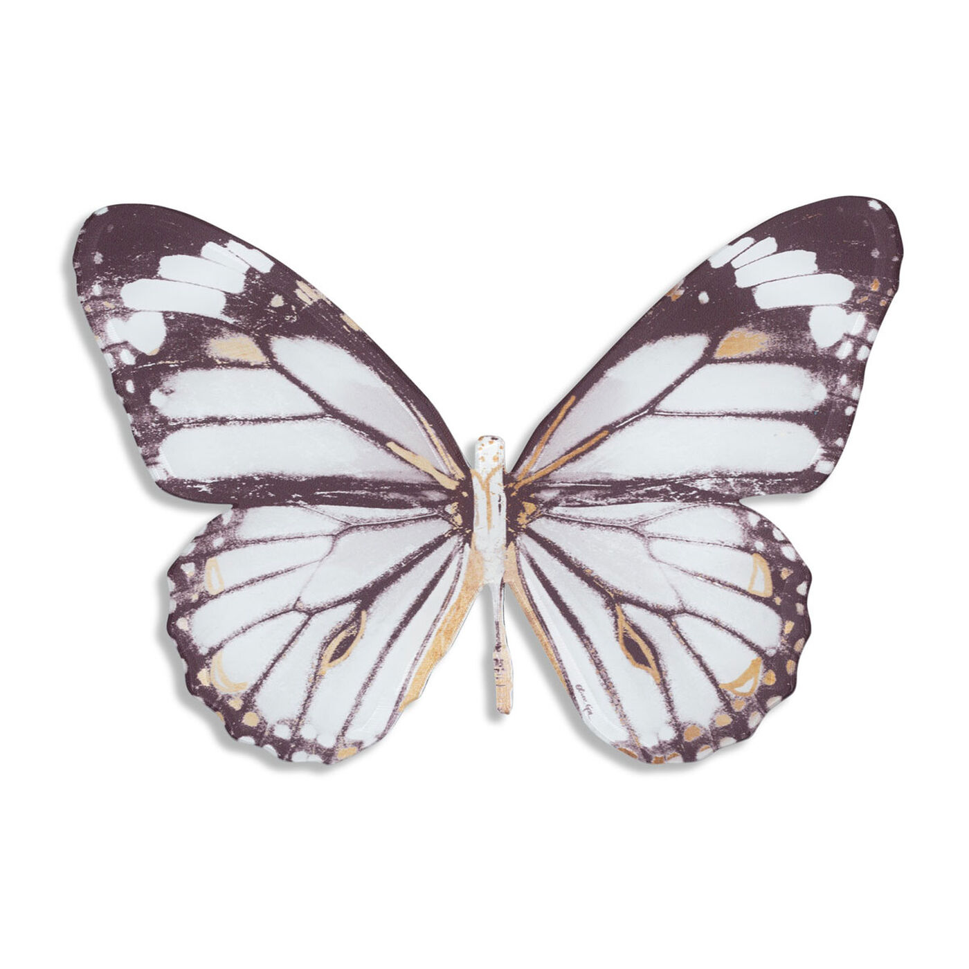 Butterfly Nero
