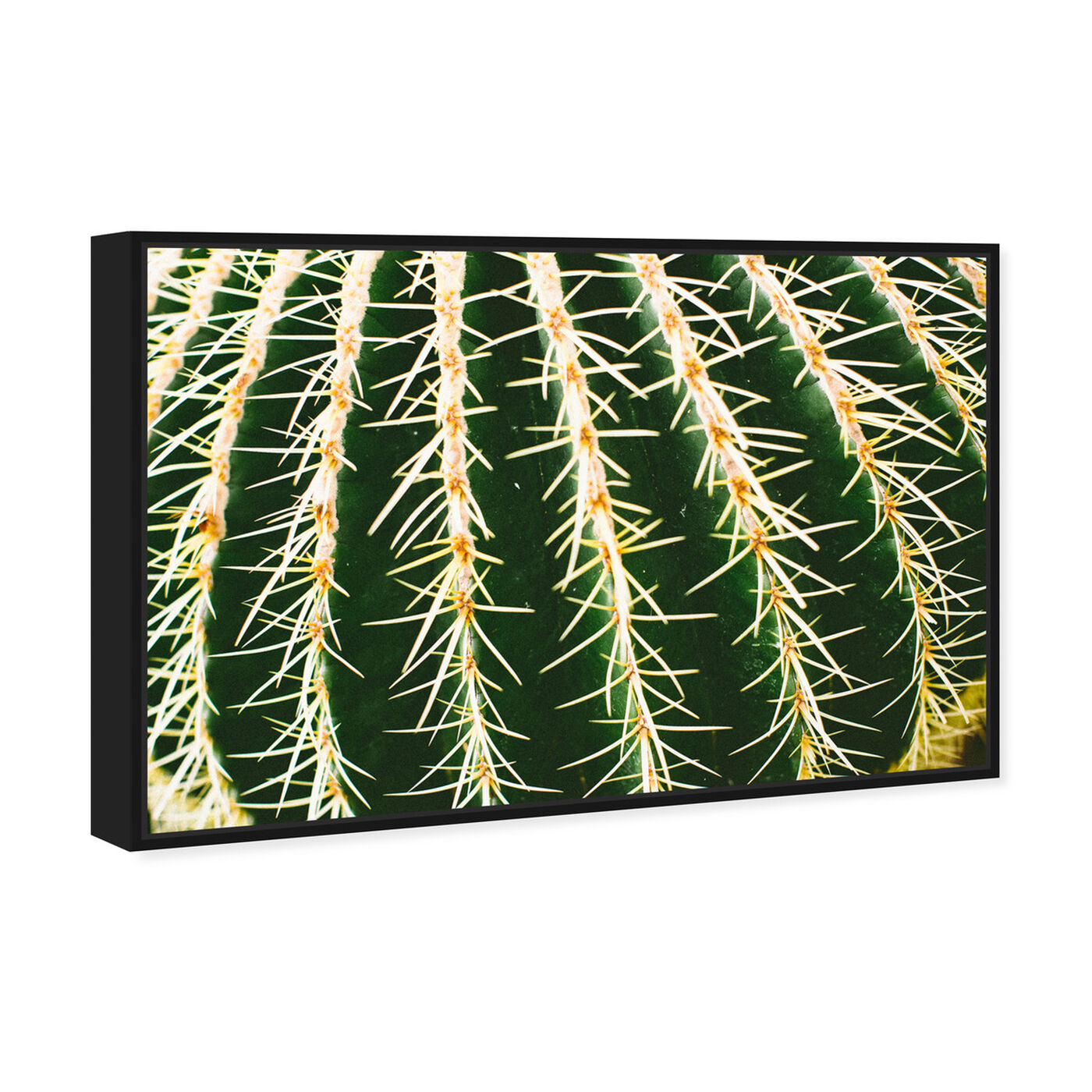 Angled view of Cactus Close by Cassandra Eldridge featuring floral and botanical and botanicals art.
