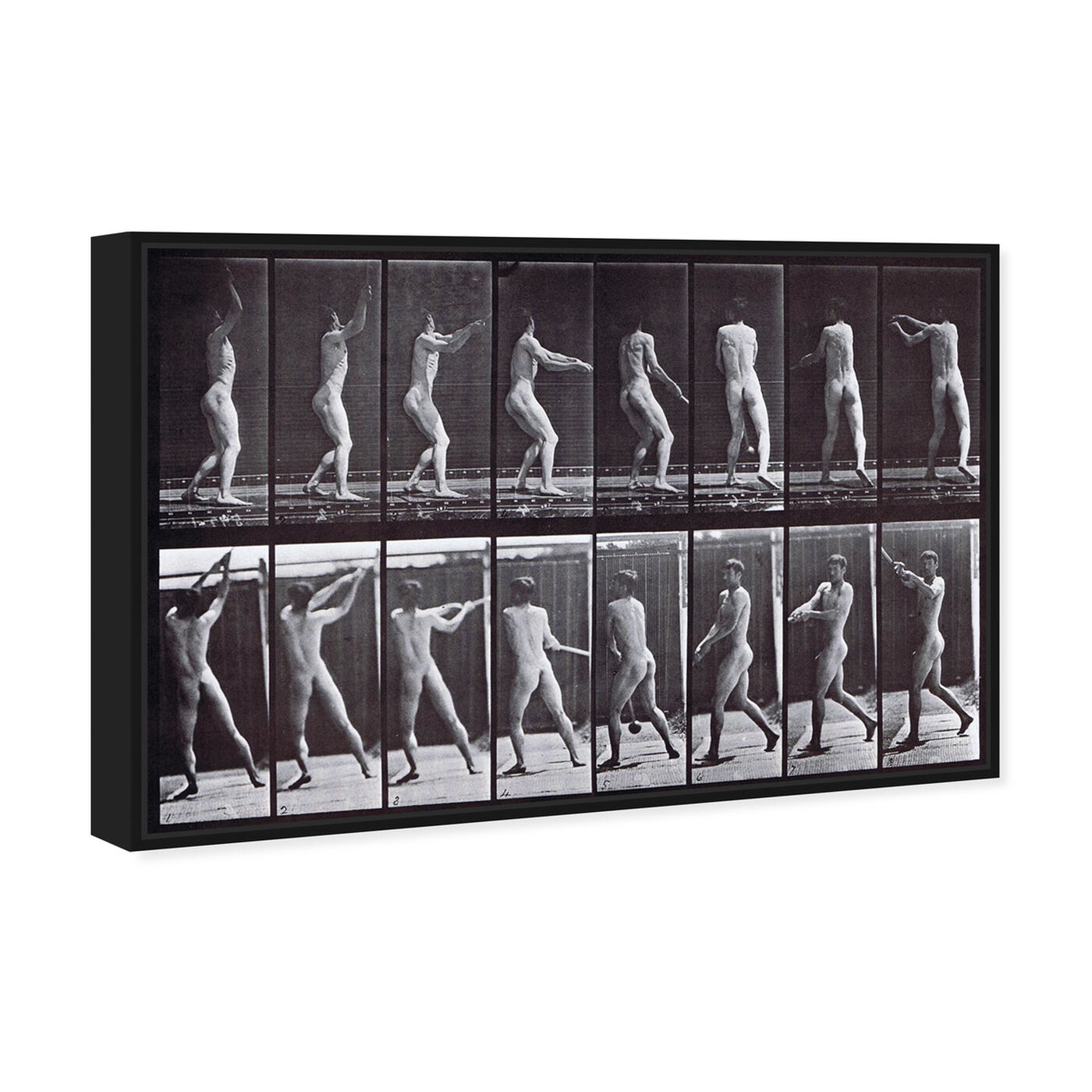 Angled view of Muybridge's Male Throwing a Hammer featuring classic and figurative and nudes art.