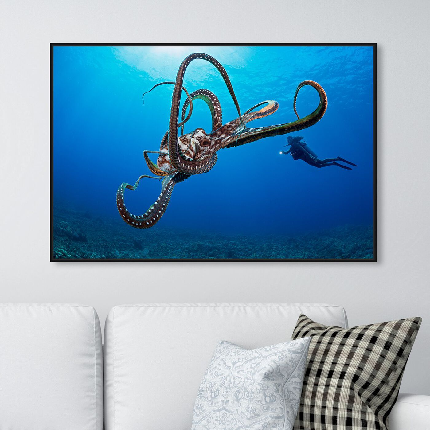 Hanging view of Diver and an Octopus by David Fleetham featuring nautical and coastal and marine life art.