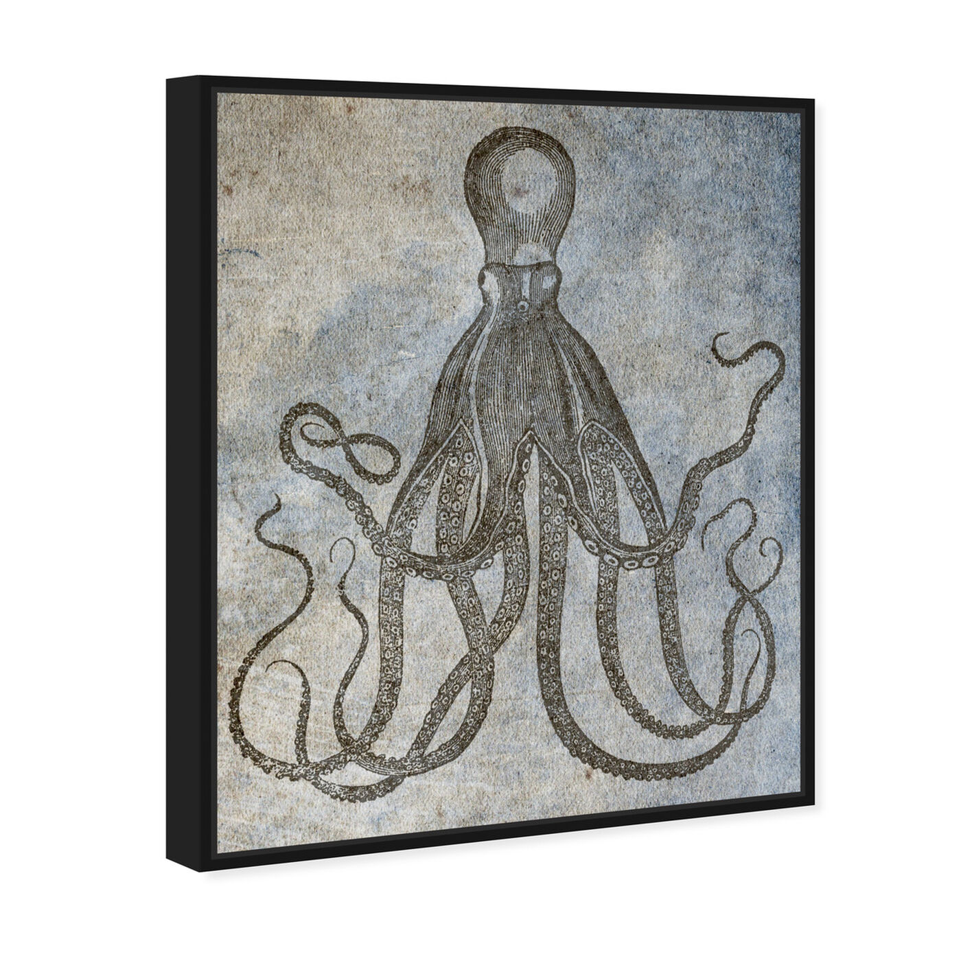 Angled view of Octopus II featuring nautical and coastal and marine life art.