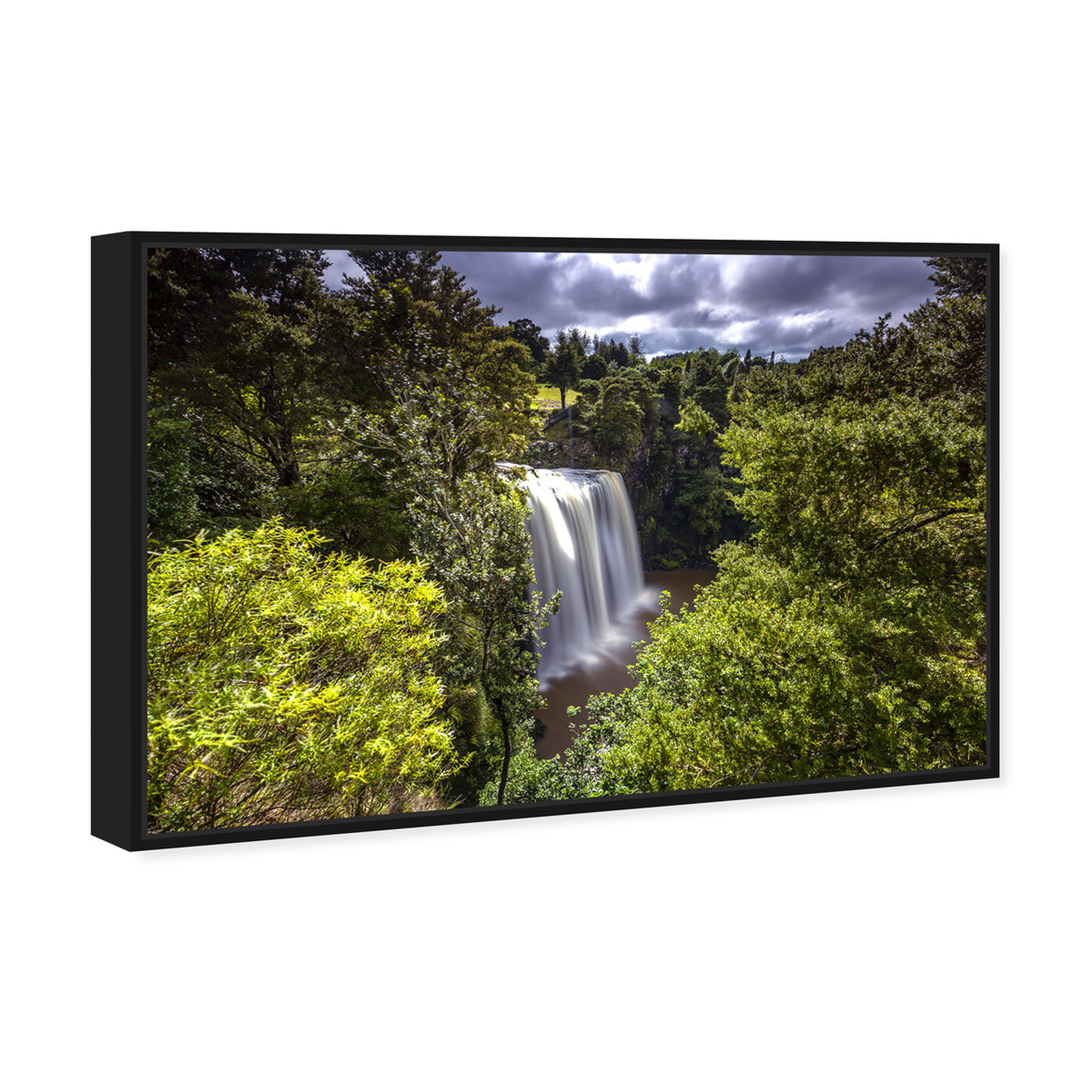 Angled view of Curro Cardenal - Rainforest IV featuring nature and landscape and nature art.