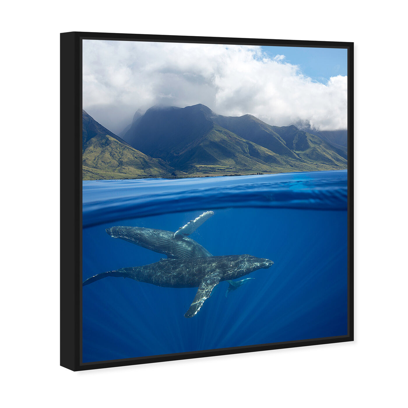 Angled view of Humpback Whales and Mountains by David Fleetham featuring nautical and coastal and marine life art.
