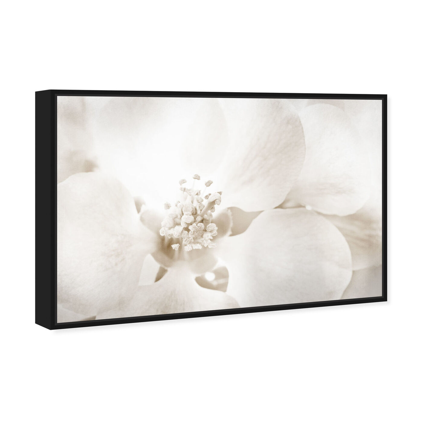Angled view of Orchid Love featuring floral and botanical and florals art.