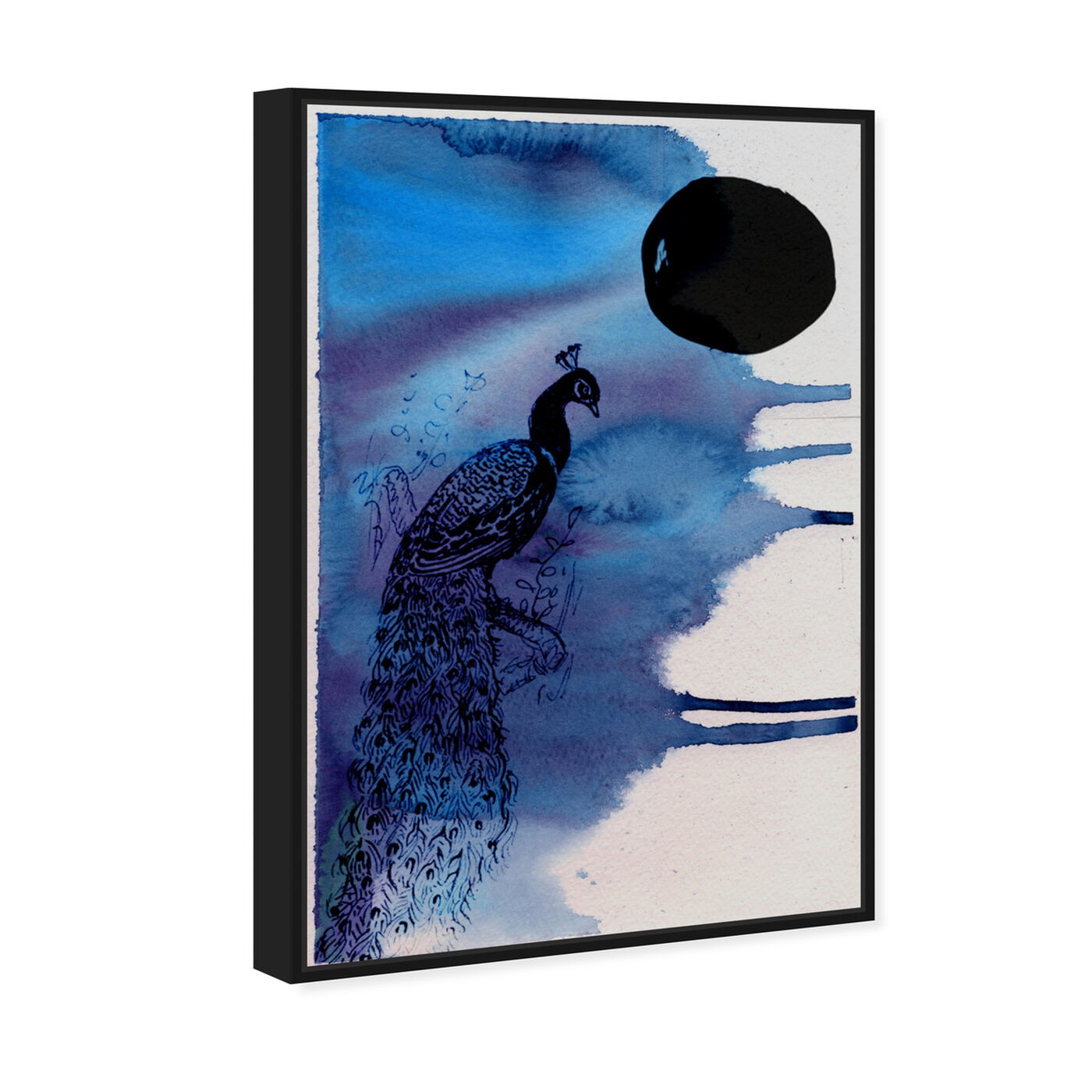 Angled view of Indian Peafowl featuring animals and birds art.