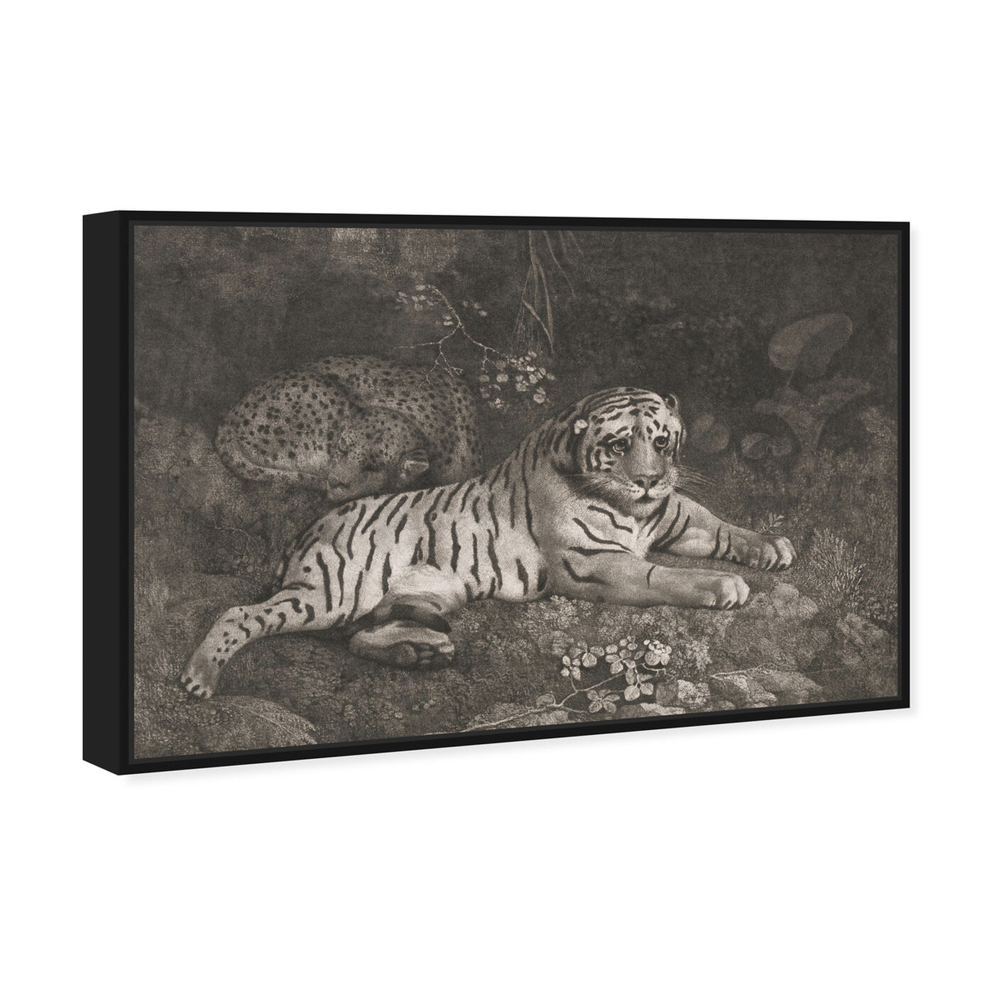 Angled view of G Stubbs - A Tiger Sleeping and a Leopard 1788 featuring animals and felines art.