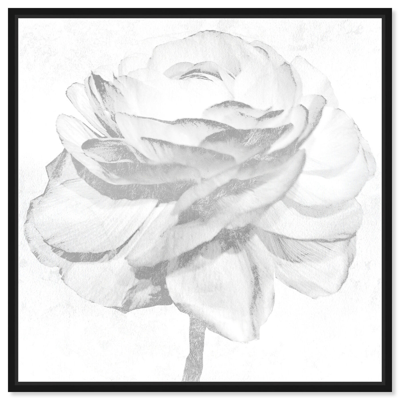 Front view of White Silver Peony featuring floral and botanical and florals art.