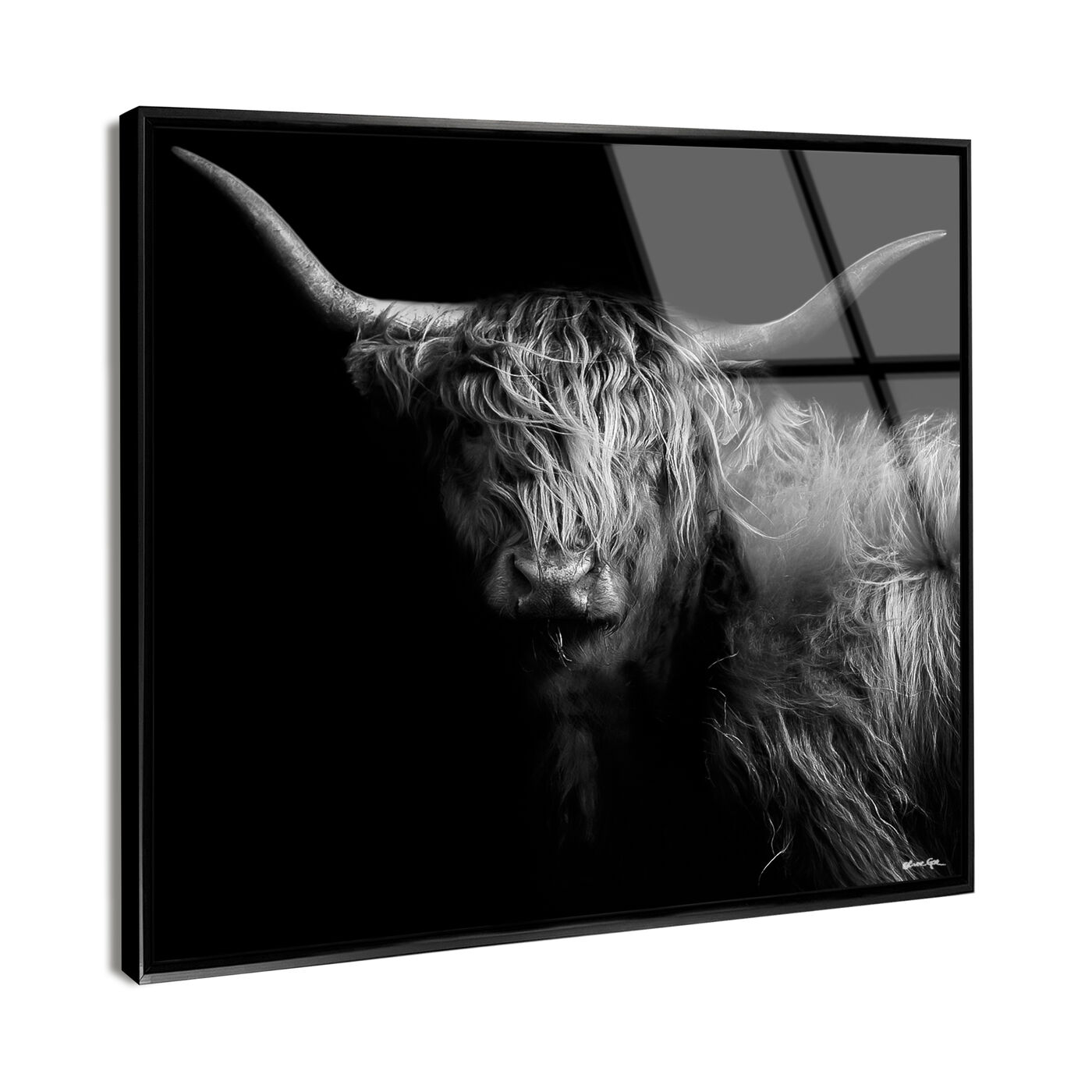 A Cow Square - Framed Acrylic Art
