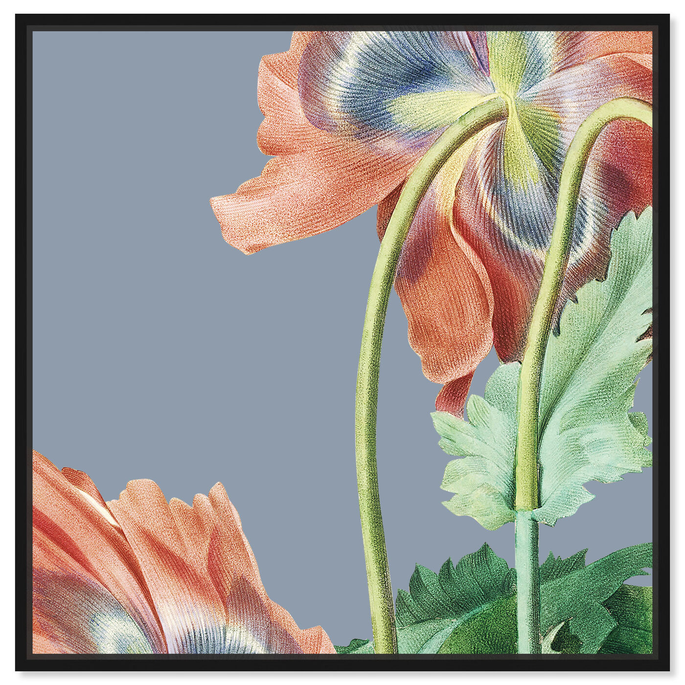 Front view of Flower I featuring floral and botanical and florals art.