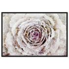 Front view of Winter New York Flower featuring floral and botanical and florals art. image number null
