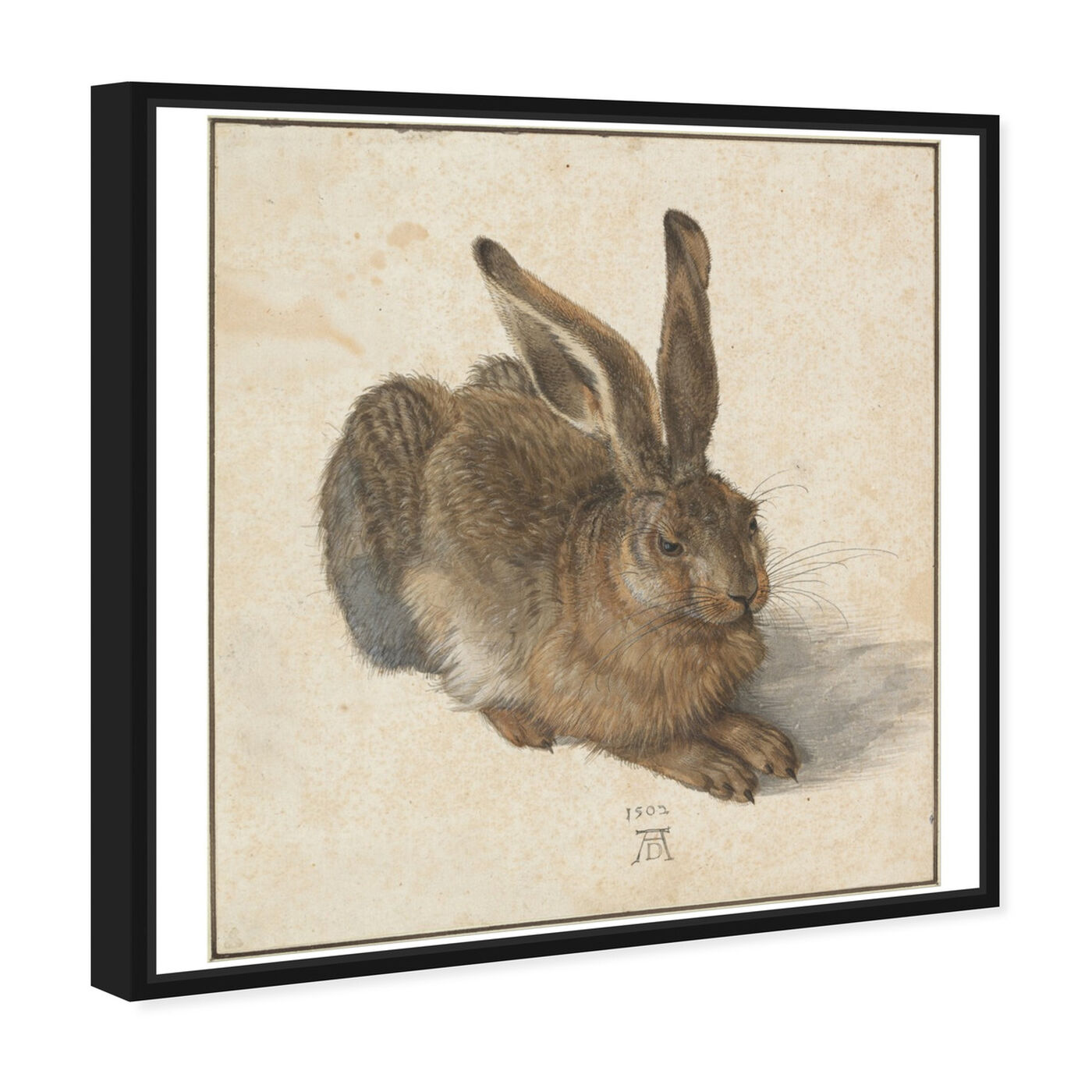 Angled view of Durer - Hare featuring animals and farm animals art.