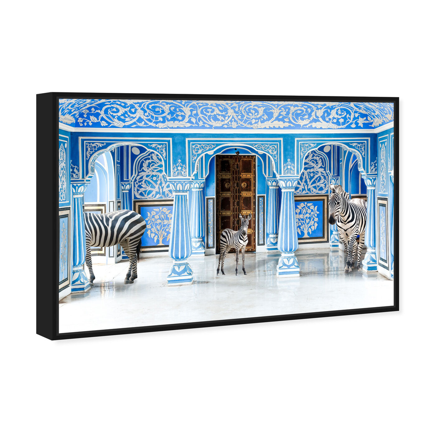 Angled view of Zebra Blues featuring animals and zoo and wild animals art.