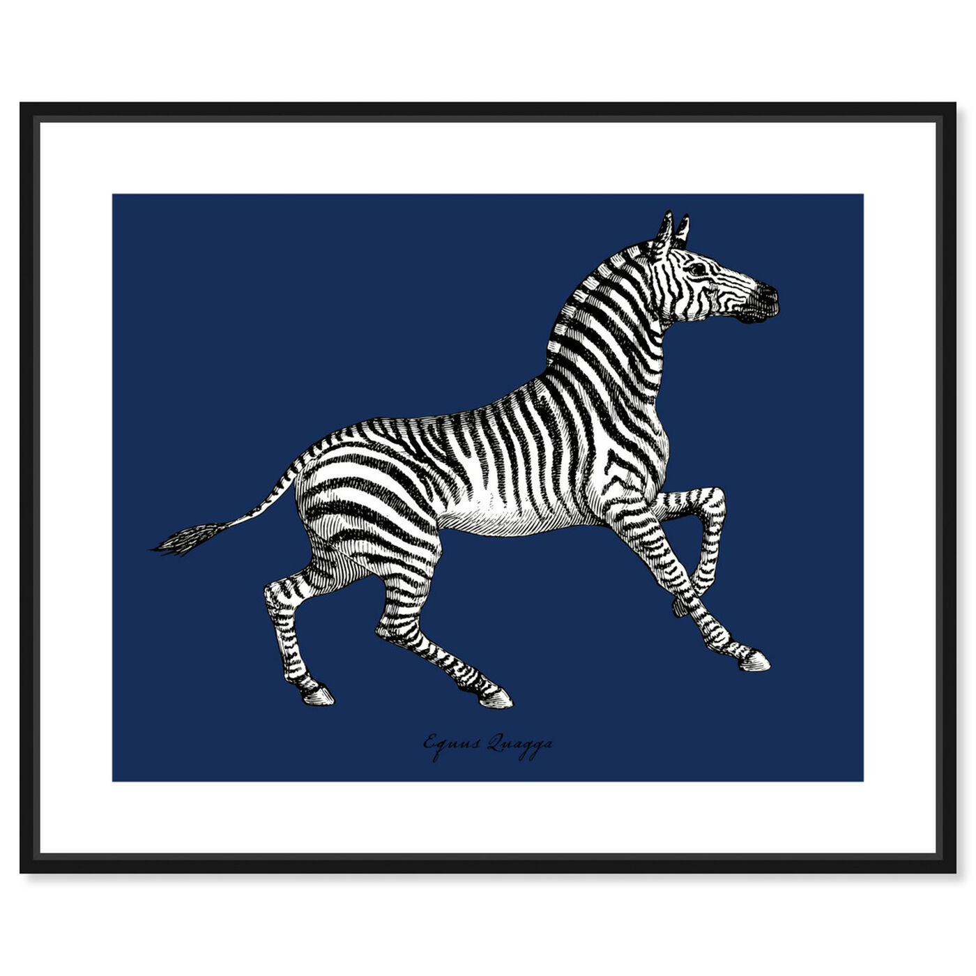 Front view of Equus Quagga II featuring animals and zoo and wild animals art.