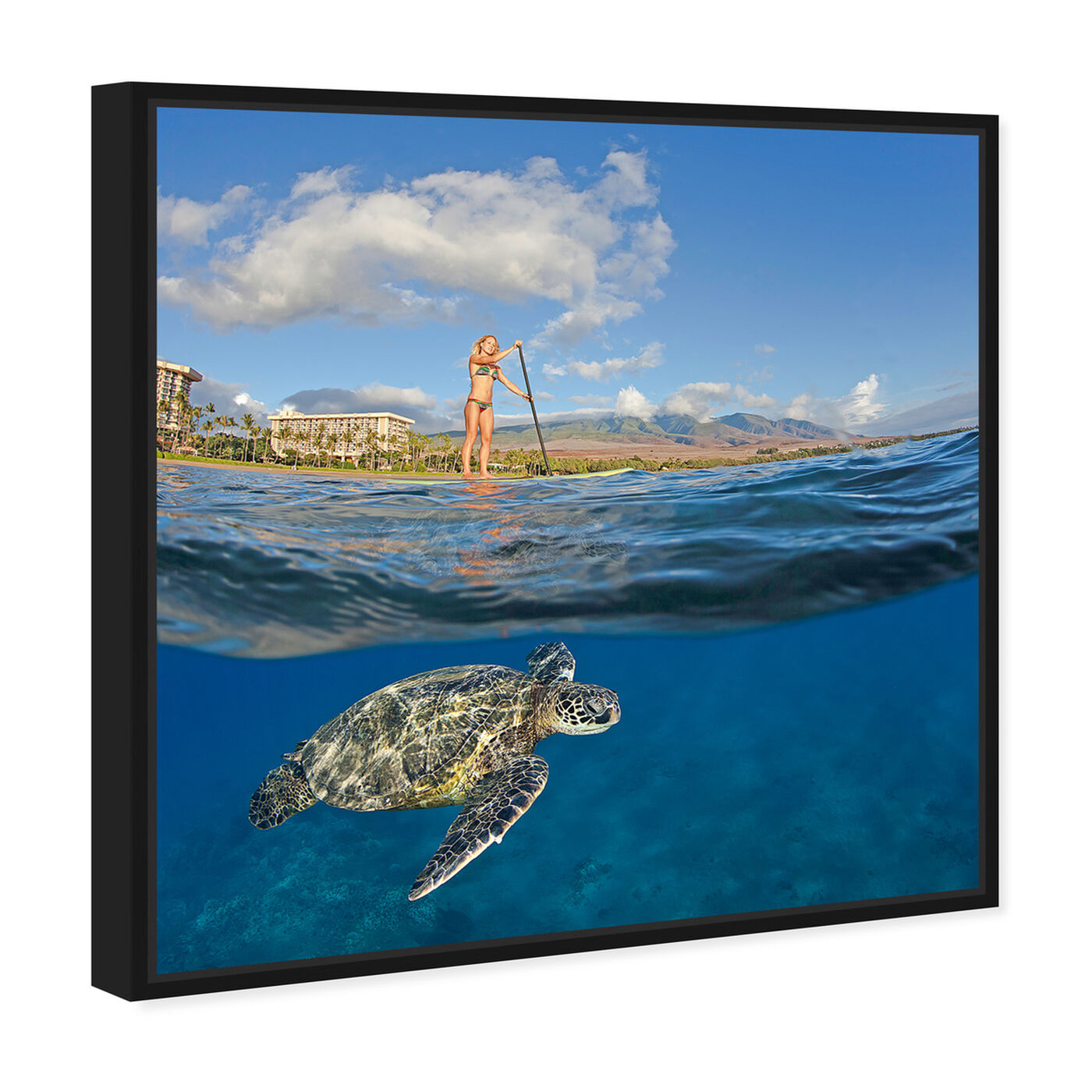 Angled view of Sea Turtle and Woman by David Fleetham featuring nautical and coastal and marine life art.