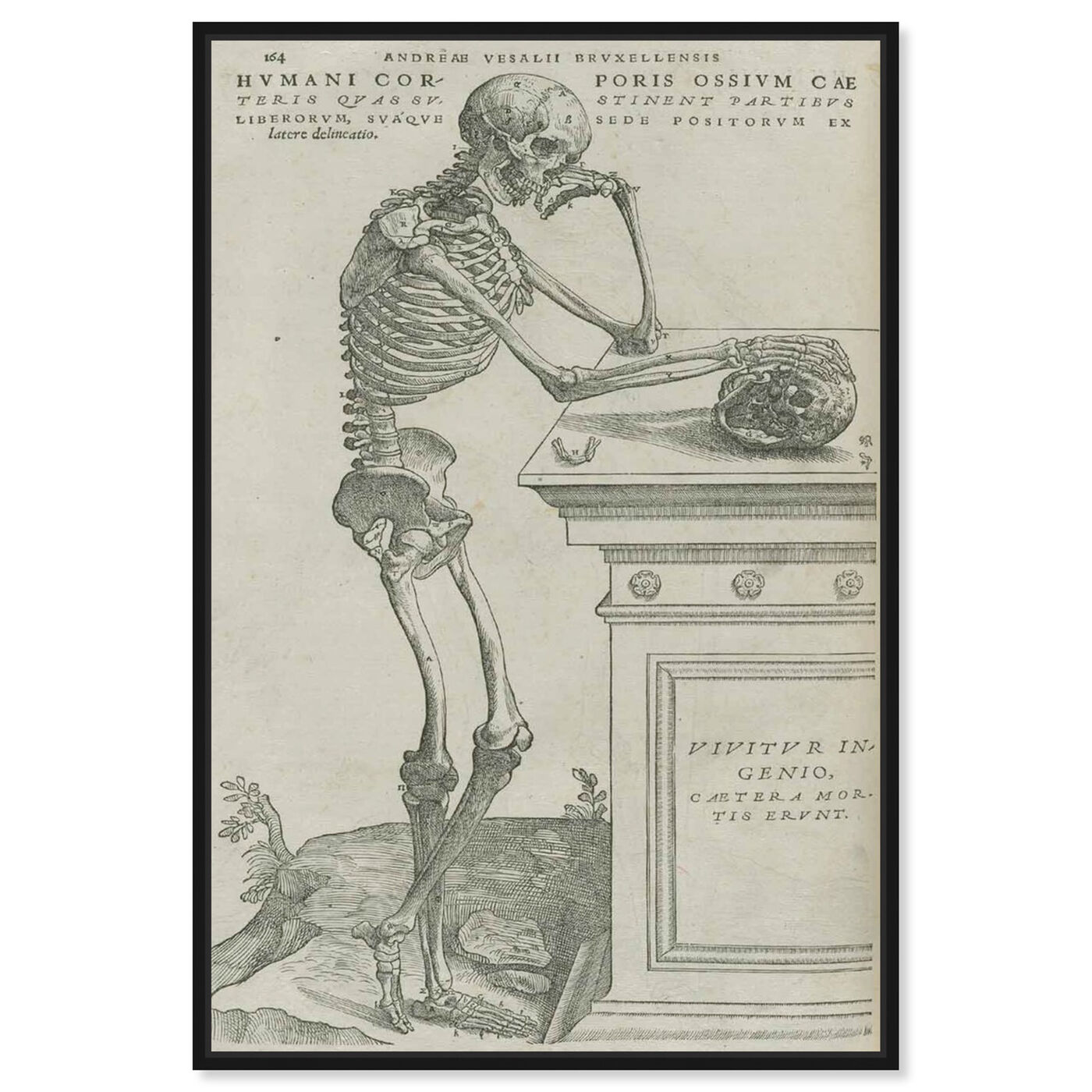 Front view of Vesalius VII - The Art Cabinet featuring classic and figurative and classical figures art.