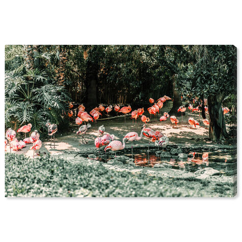 Flamingo Gathering