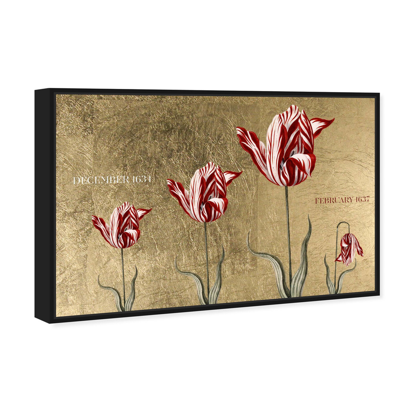 Angled view of Tulipomania featuring floral and botanical and florals art.
