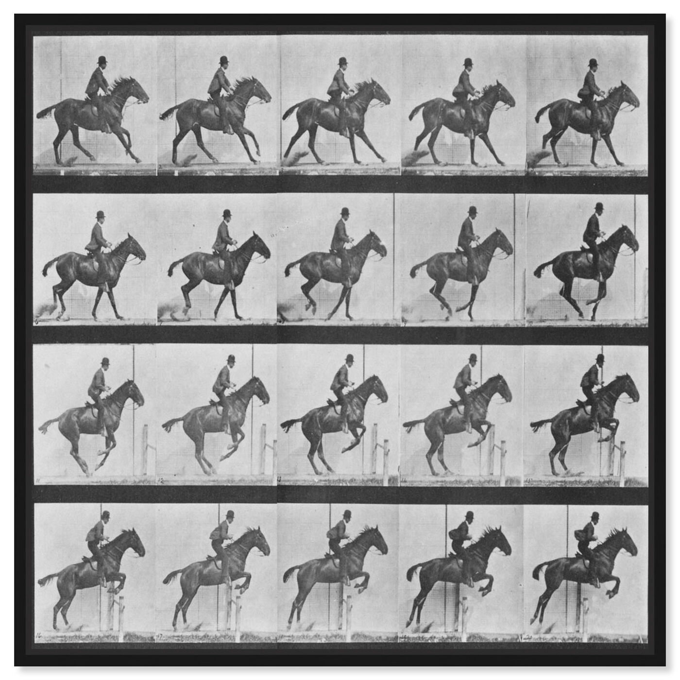 Front view of Stages of a Jumping Horse featuring animals and farm animals art.