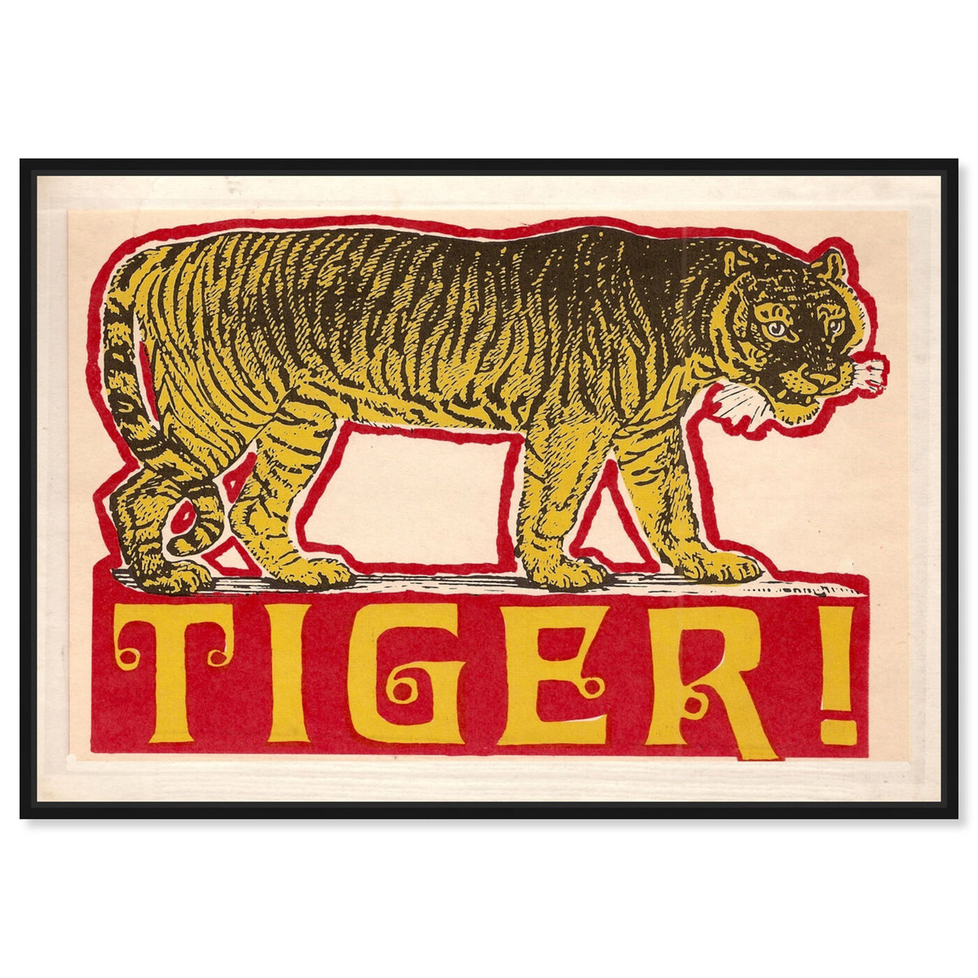 Front view of Indian Tiger featuring advertising and posters art.