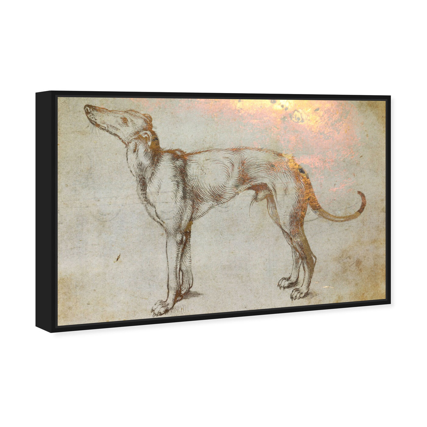 Angled view of Galgo featuring animals and dogs and puppies art.