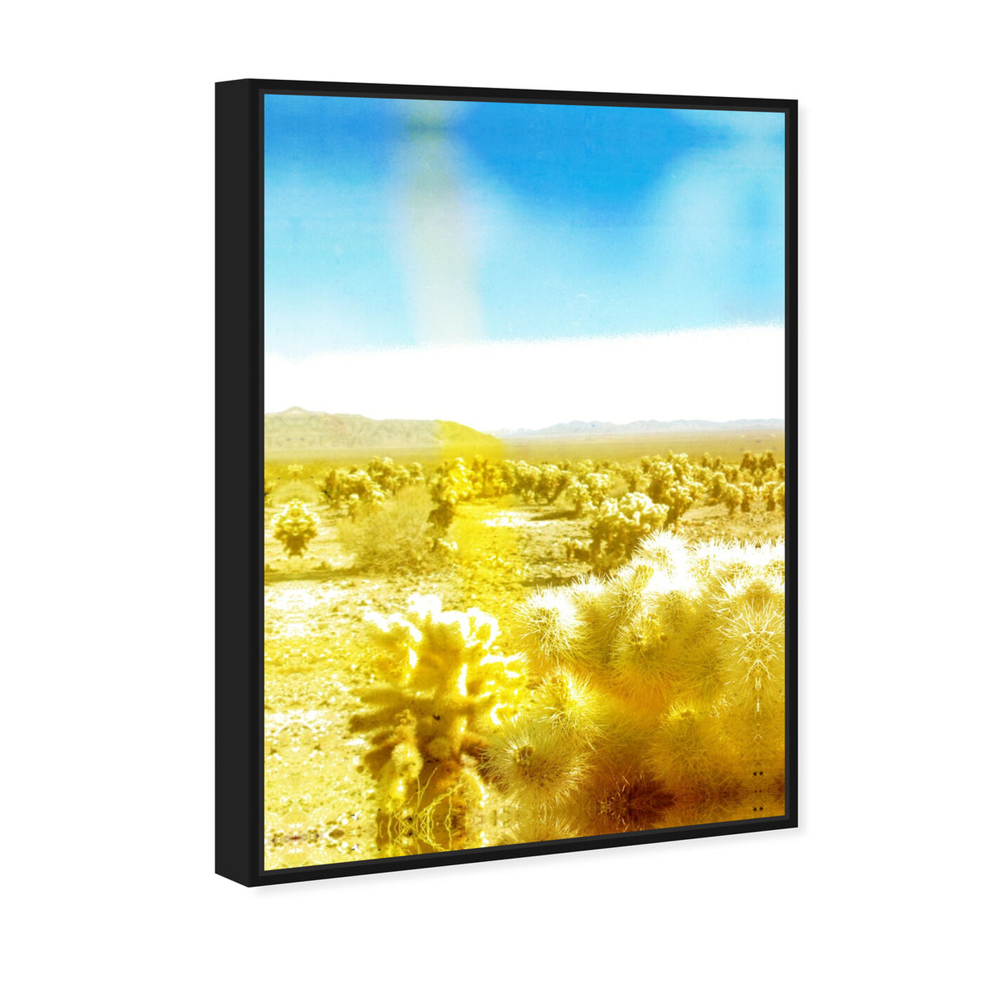 Angled view of Soft Cali Dry featuring nature and landscape and desert landscapes art.