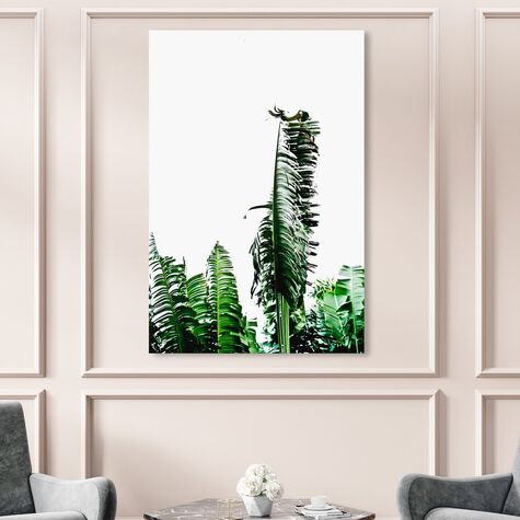 Beverly Hills Palm Leaves by Cassandra Eldridge I
