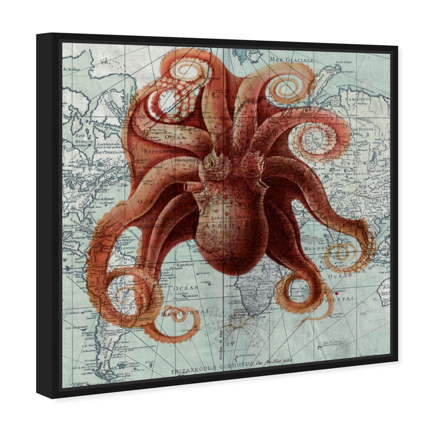 Angled view of Octopus I featuring nautical and coastal and marine life art.