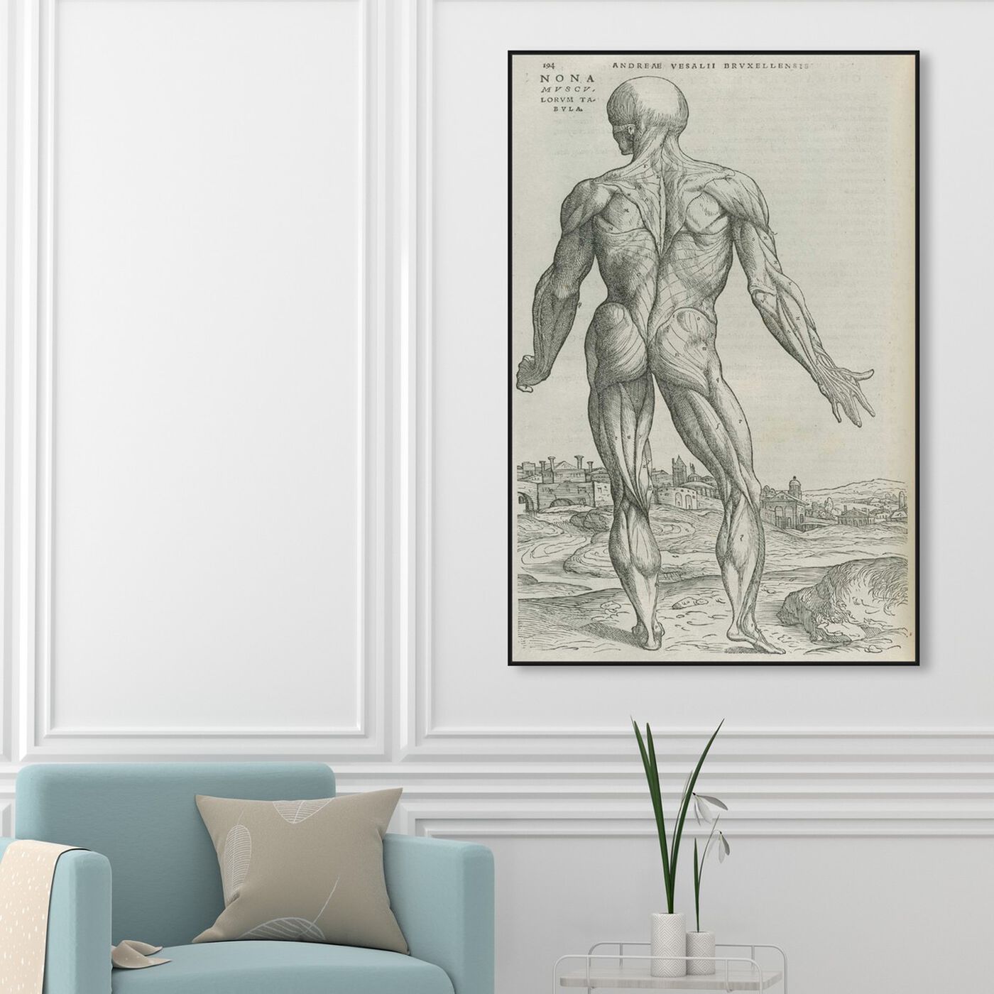 Hanging view of Vesalius - The Art Cabinet featuring people and portraits and nudes art.