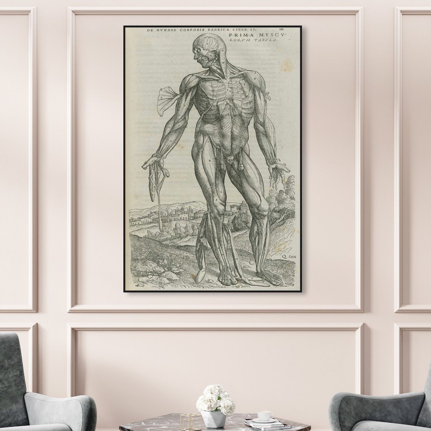 Hanging view of Vesalius III - The Art Cabinet featuring classic and figurative and classical figures art.