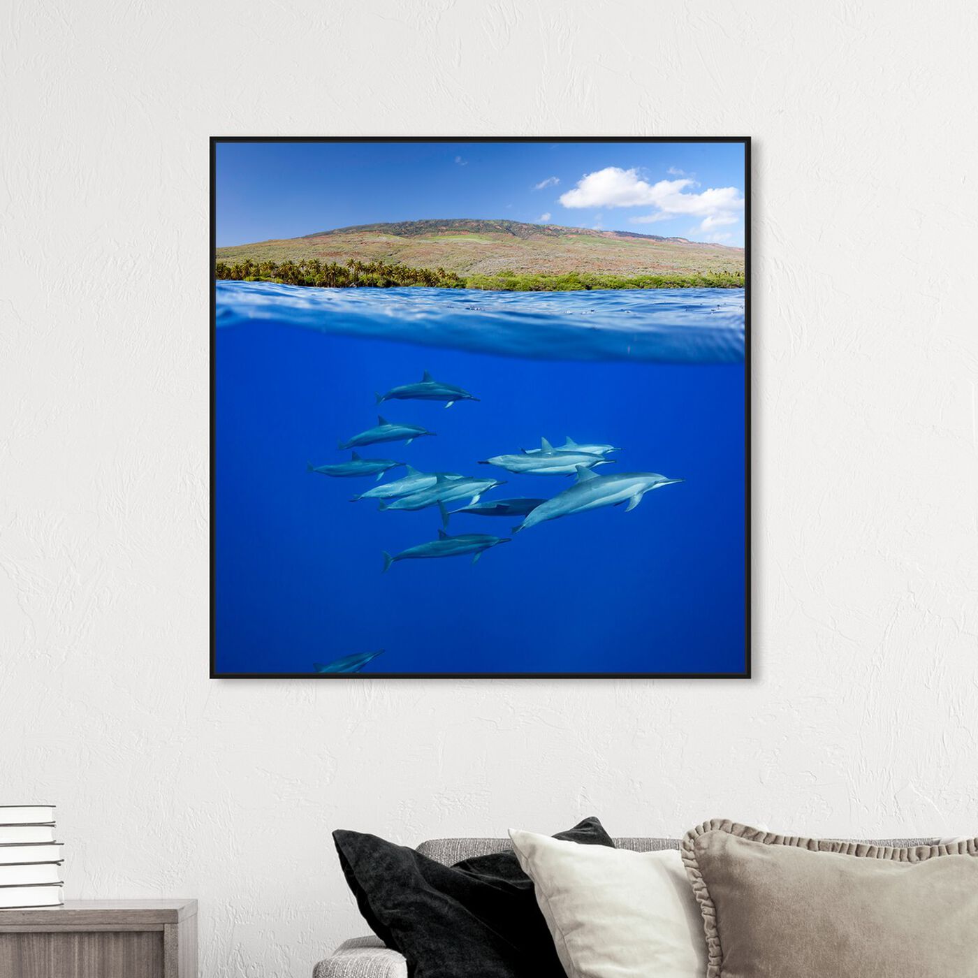 Hanging view of Split View Dolphins and Island by David Fleetham featuring animals and sea animals art.
