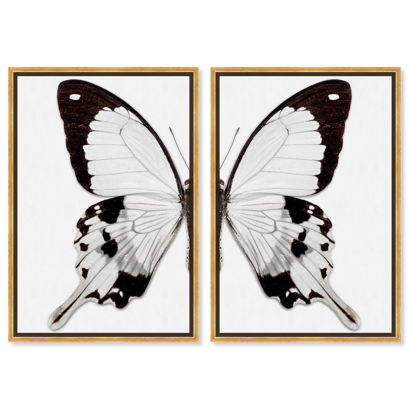 Monochrome Butterfly I and II Wings SET - Displayed in a Floating Frame