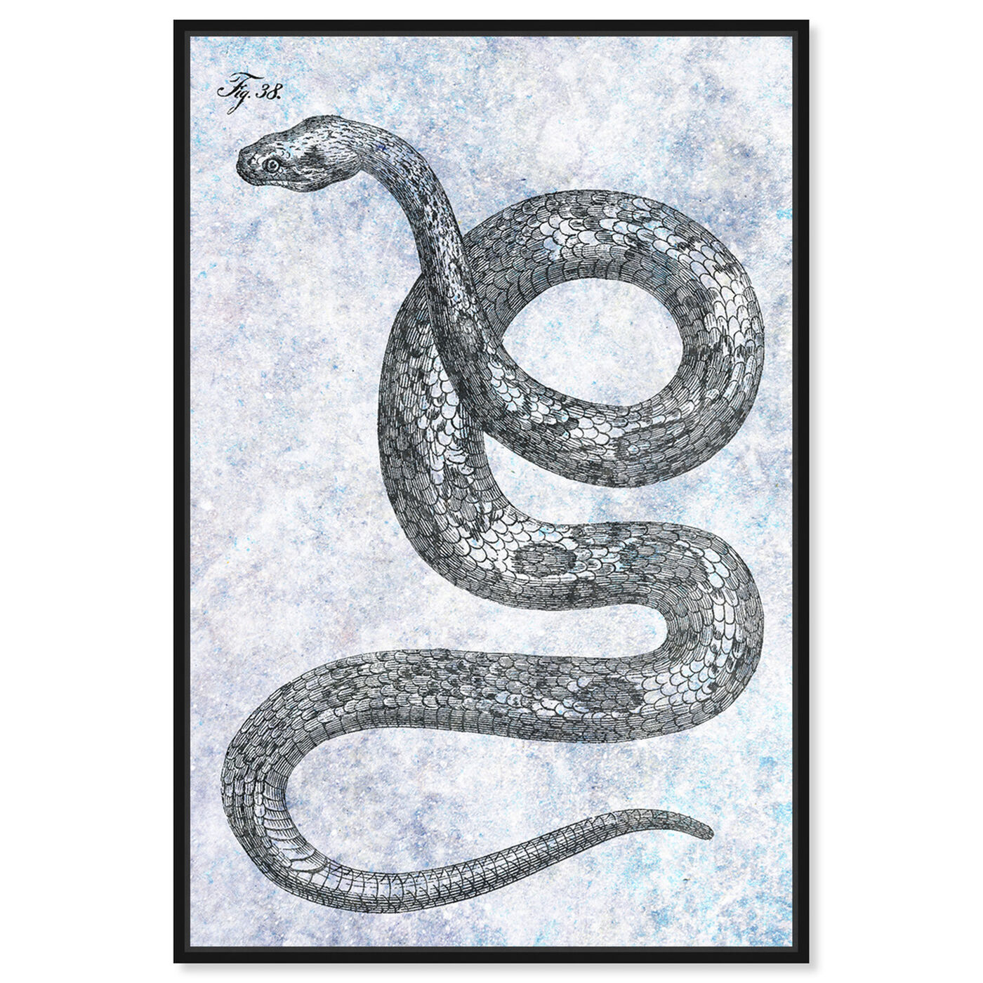 Front view of Single Snake featuring animals and zoo and wild animals art.
