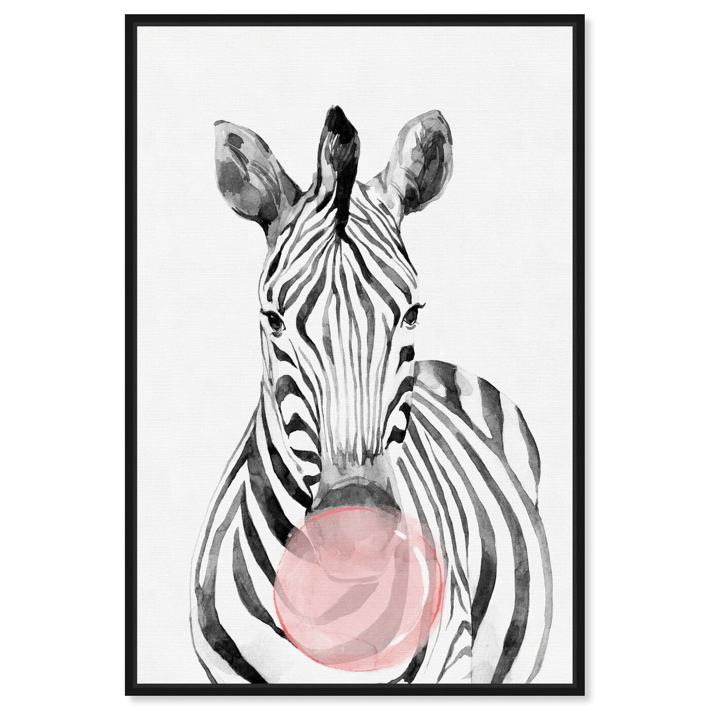 Front view of Zebra Bubblegum featuring animals and zoo and wild animals art.