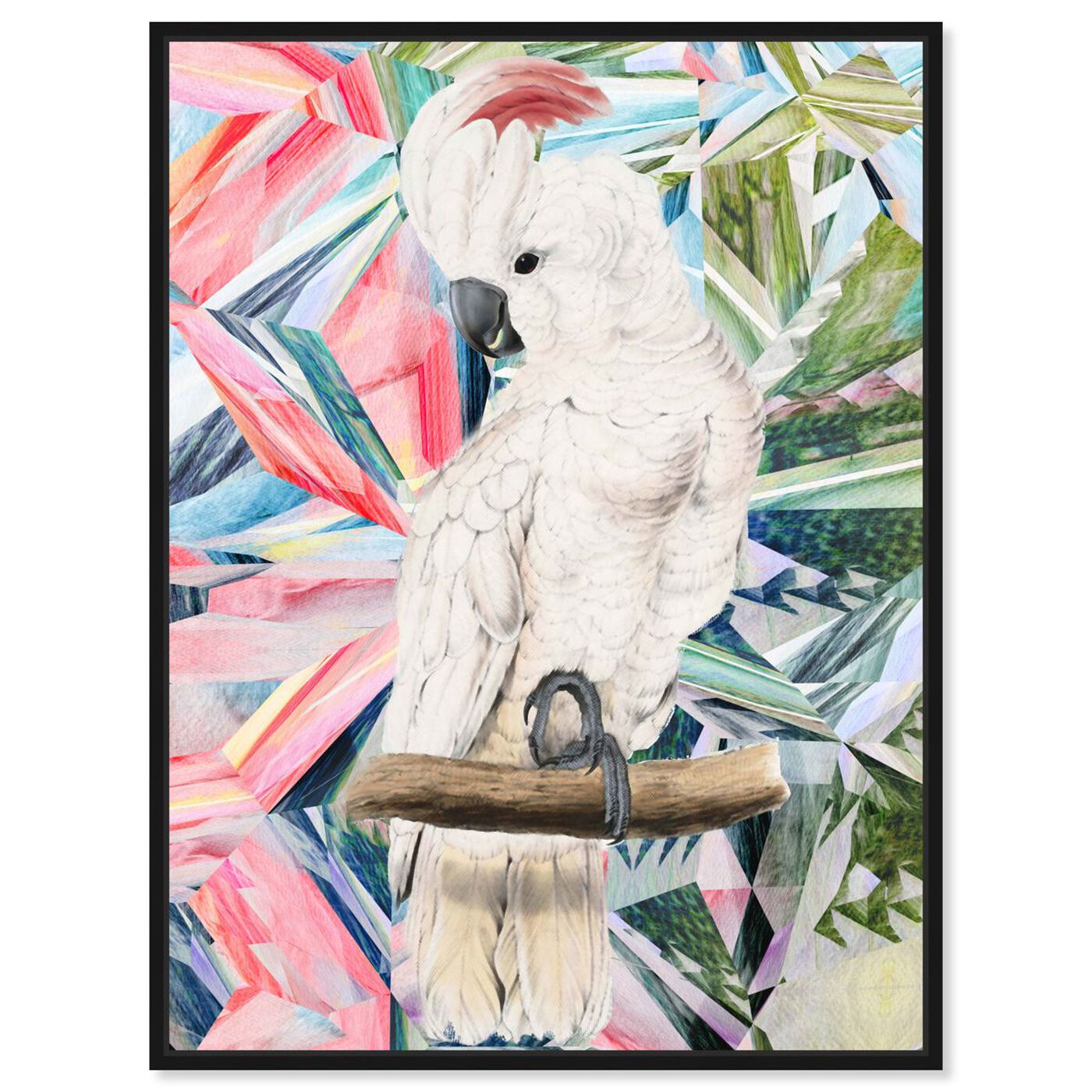 Front view of Modern Cockatoo featuring animals and birds art.