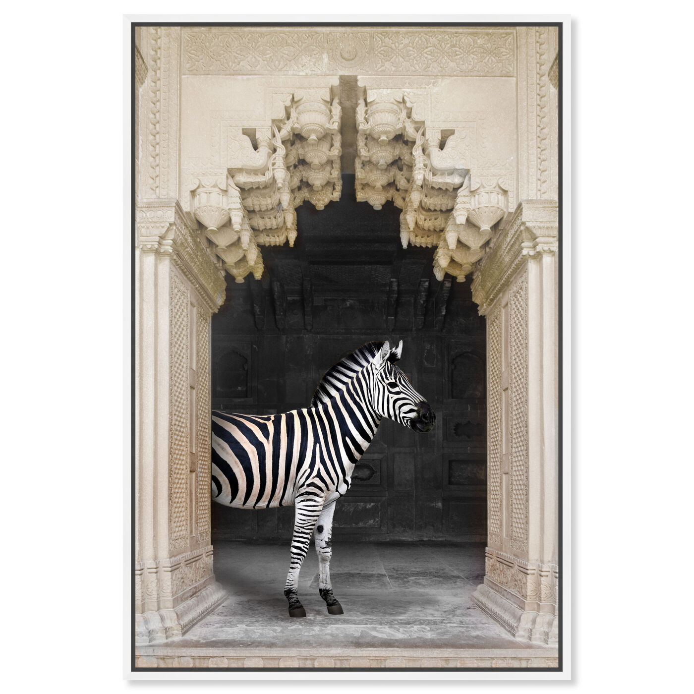 Front view of Zebras Apartment is Cream featuring animals and zoo and wild animals art.