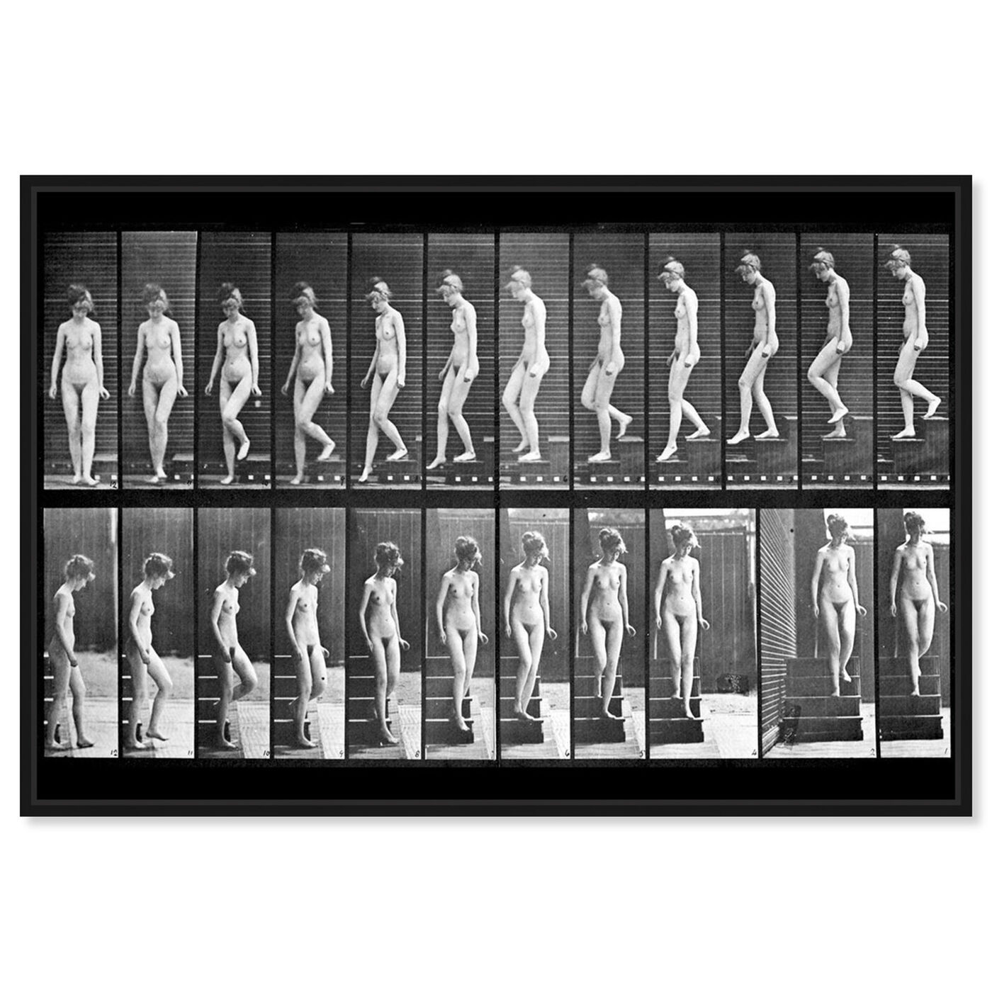 Front view of Muybridge's Woman Walking featuring classic and figurative and nudes art.