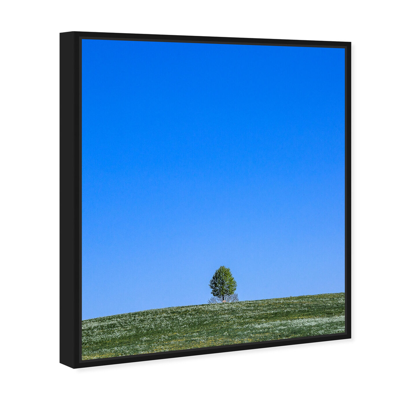 Angled view of Curro Cardenal - Tranquility Field II featuring nature and landscape and skyscapes art.