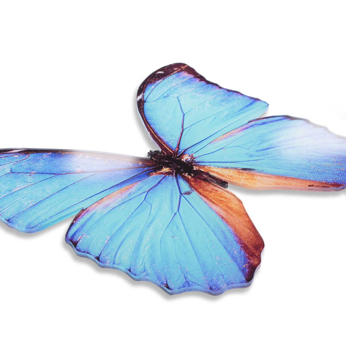 Butterfly Cyan DieCut