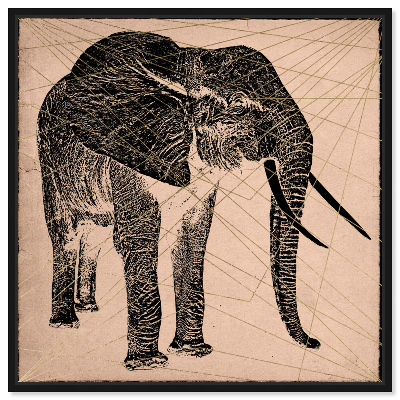 Front view of Elephant Print featuring animals and zoo and wild animals art.
